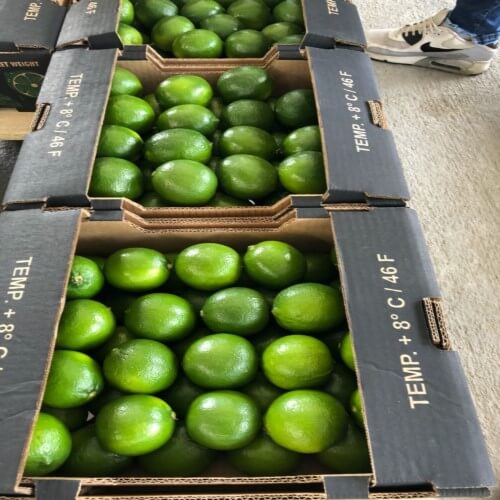 Mercado Internacional AgrotradeColombia