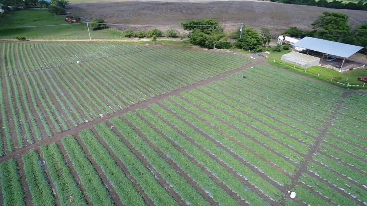 AgrotradeColombia