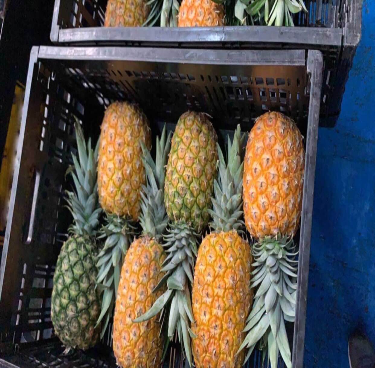 Agrotrade Mercado Internacional