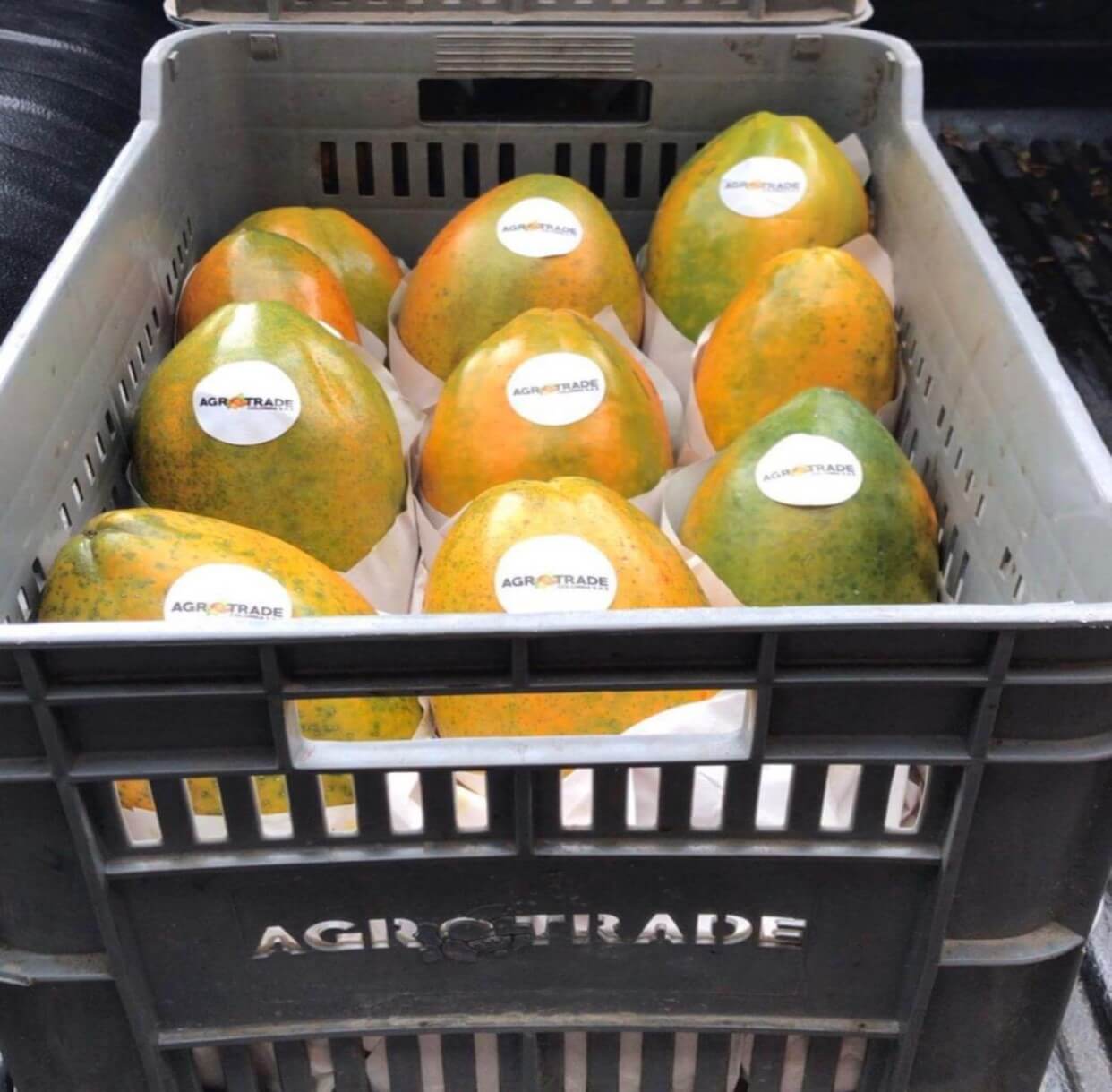 Agrotrade Mercado Internacional