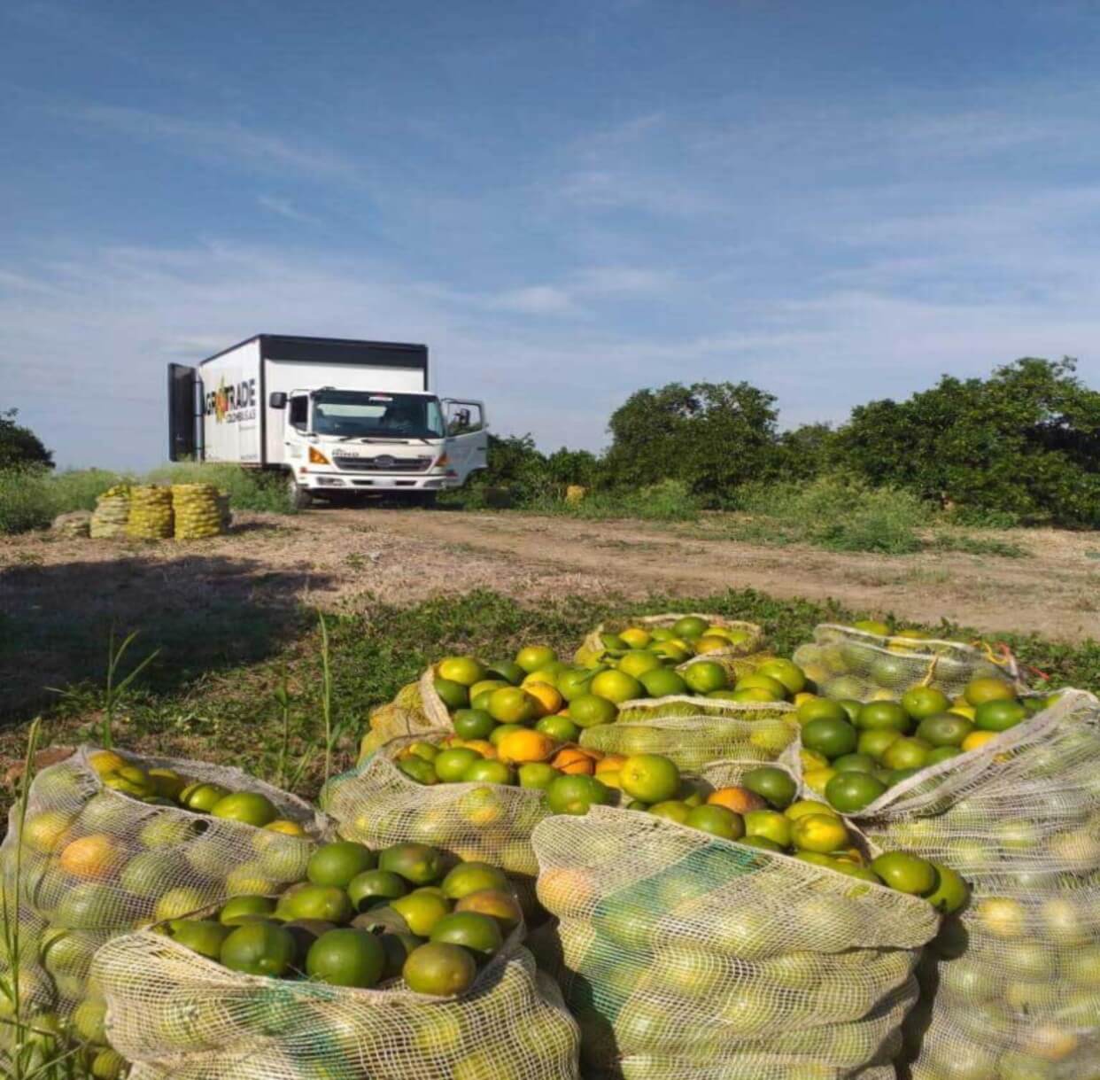 Agrotrade Logistica y Transporte