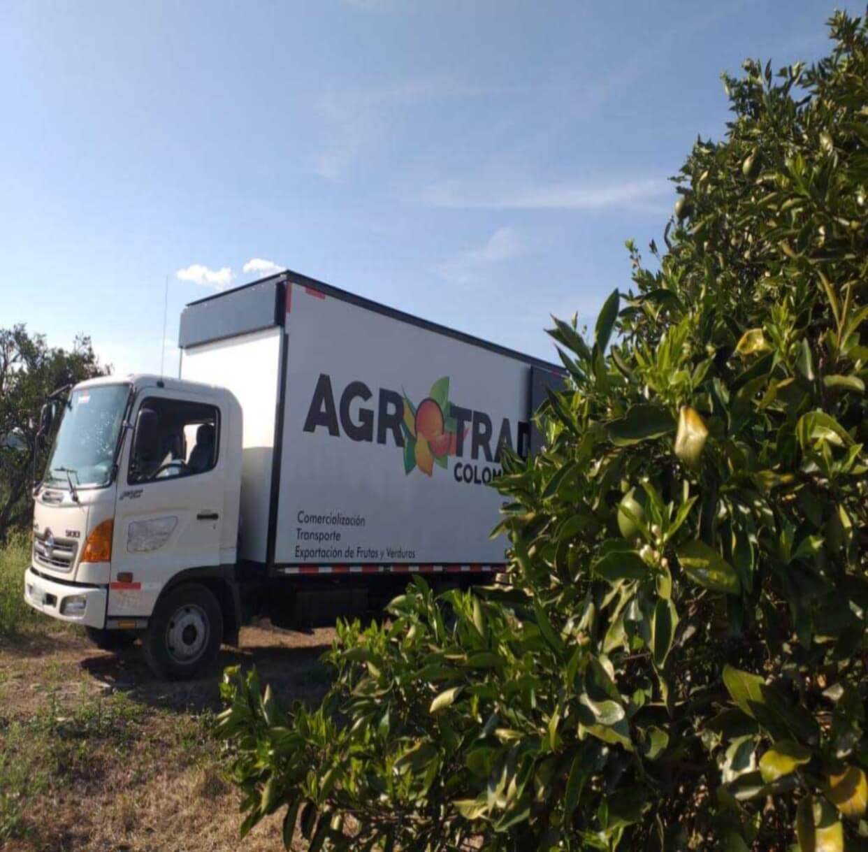 Agrotrade Logistica y Transporte