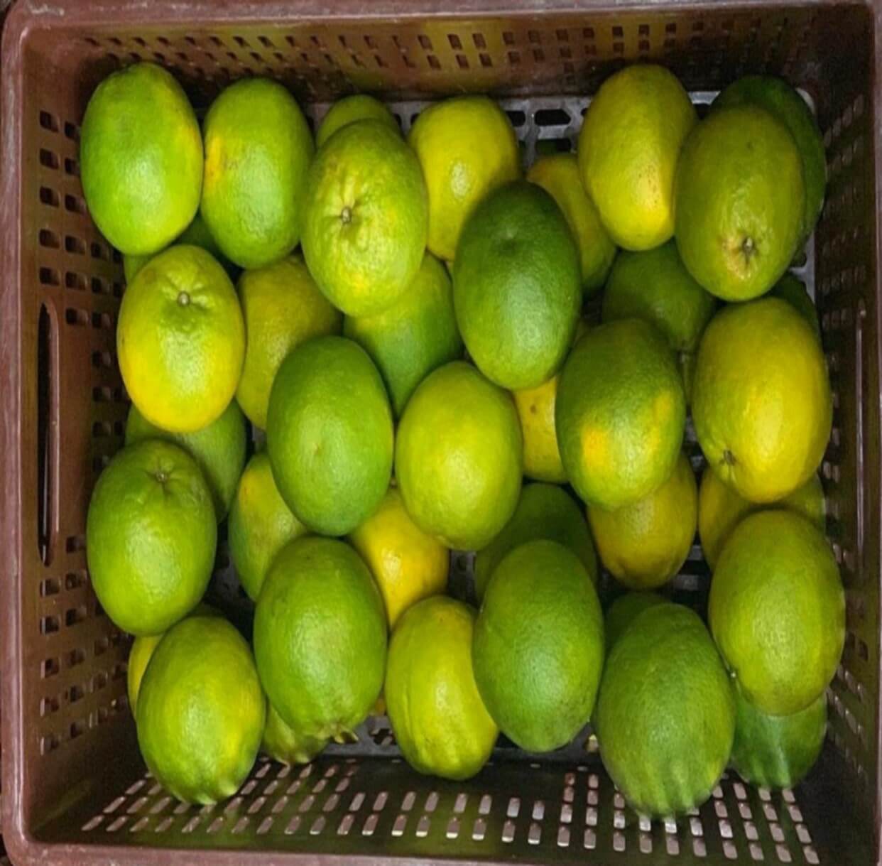 Agrotrade Mercado Nacional