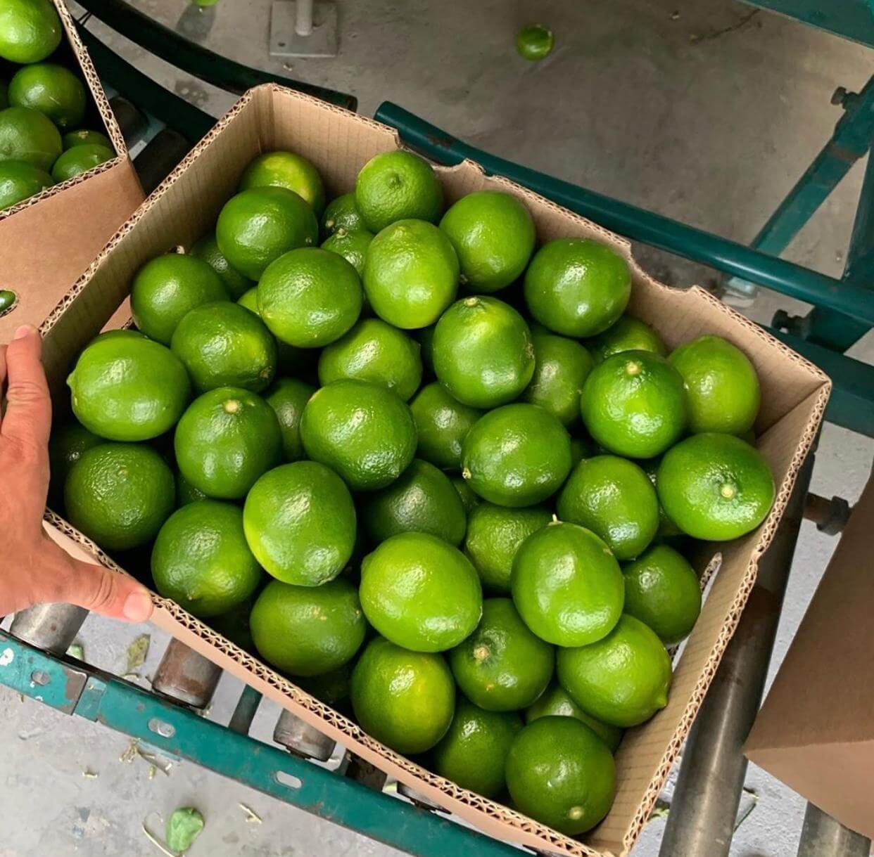 Agrotrade Mercado Nacional